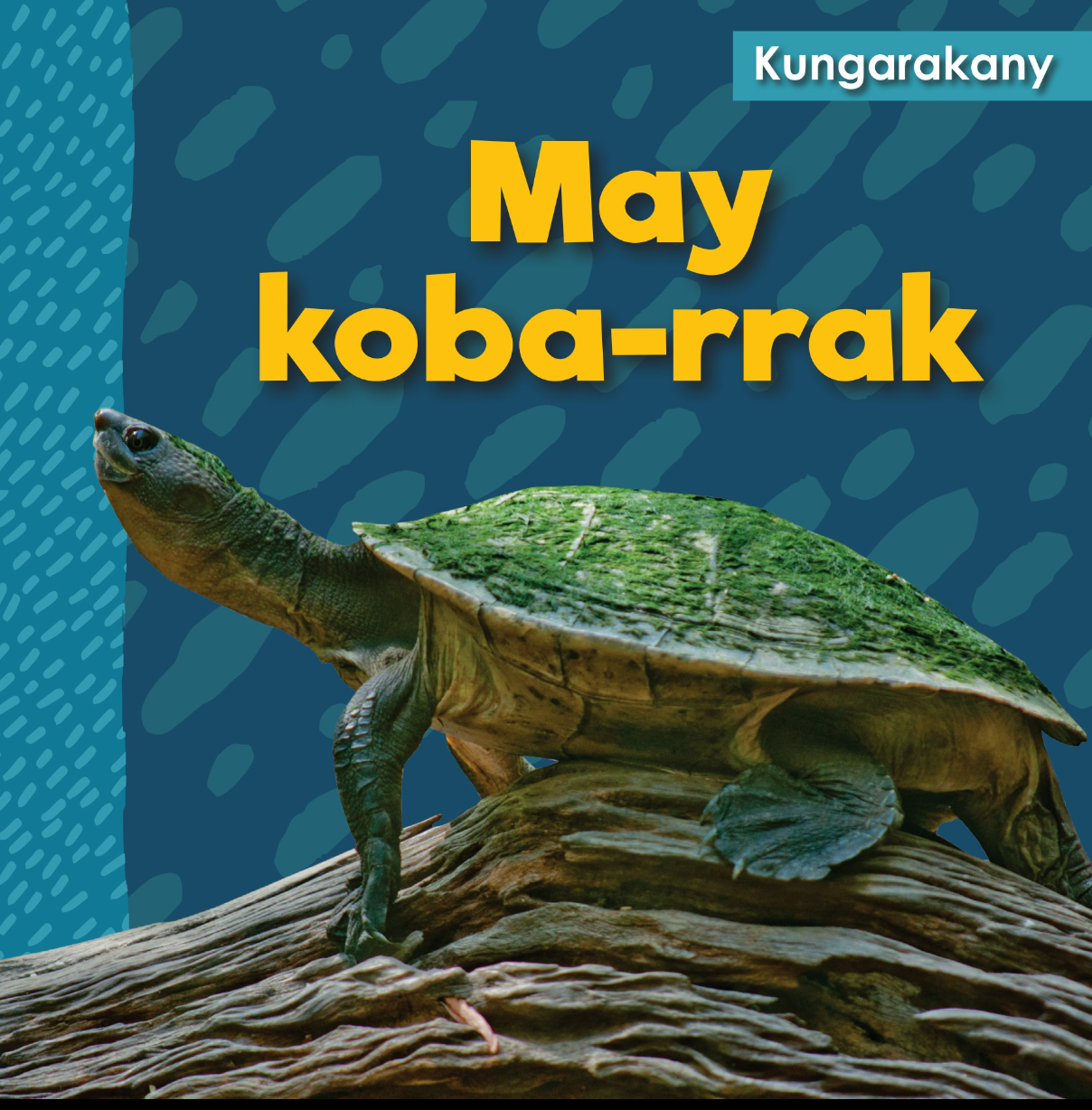 Turtle Book