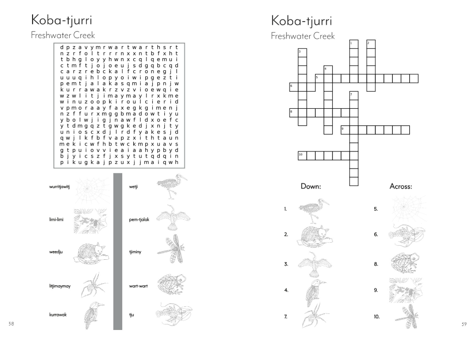 Activity & Colour In Book